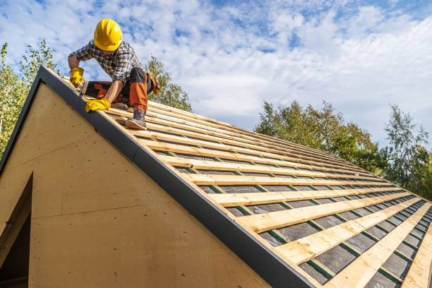 Best Flat Roof Repair Services  in Wheat Ridge, CO