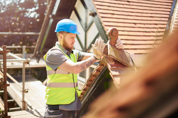 Best Metal Roofing Contractor  in Wheat Ridge, CO